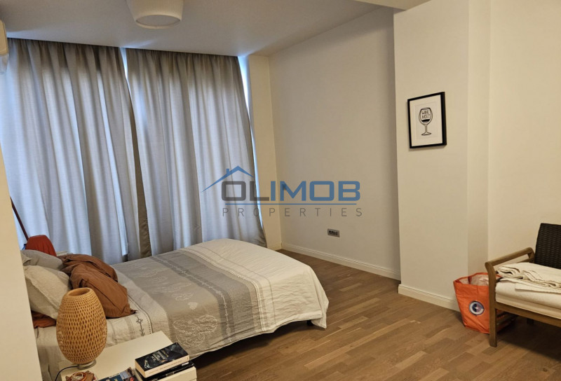 Kiselelff - Piata Victoriei apartament tip penthouse