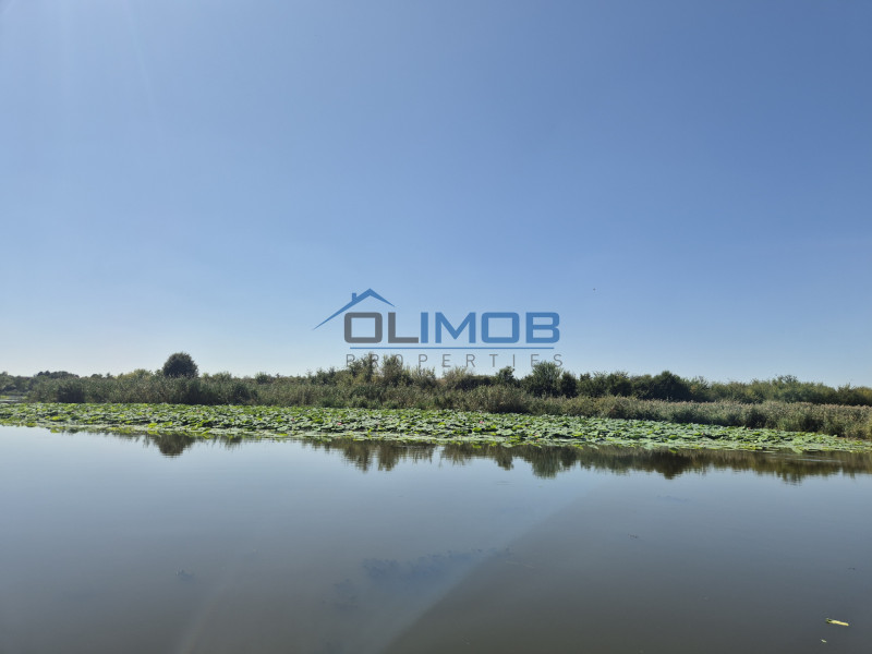 Teren 2500 mp – Izvorani | Deschidere directă la lac 