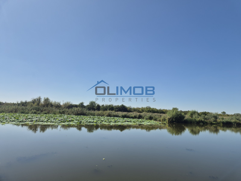 Teren 2500 mp – Izvorani | Deschidere directă la lac 