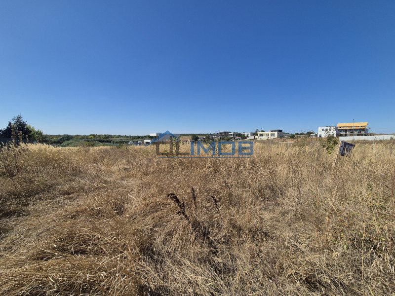 Teren 2500 mp – Izvorani | Deschidere directă la lac 