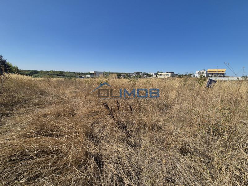 Teren 2500 mp – Izvorani | Deschidere directă la lac 