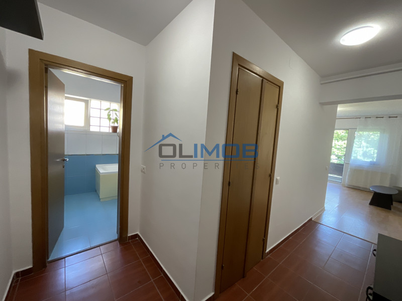 Inchiriere apartament 2 camere Baneasa