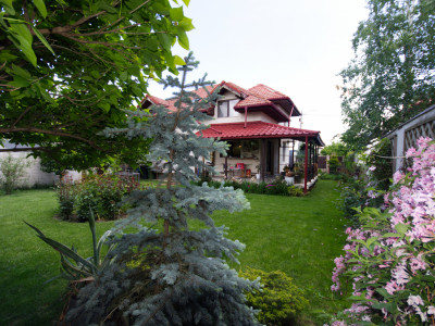 Tunari vila ideală pentru familie, cu curte mare , parcare si barbeque 