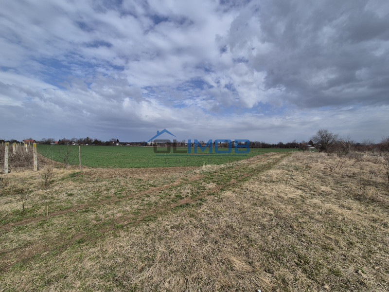  Teren intravilan Izvorani - Delta Snagov 