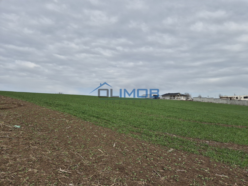 Teren ideal pentru rezidențial – Izvorani, zonă premium lângă lac