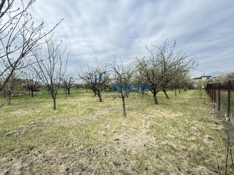 Snagov Izvorani casa locuibila cu livada de pomi fructiferi