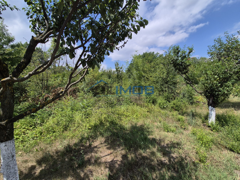 📍 Teren de inchiriat – Voluntari, Str. Popasului
