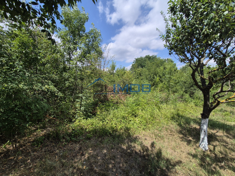 📍 Teren de inchiriat – Voluntari, Str. Popasului