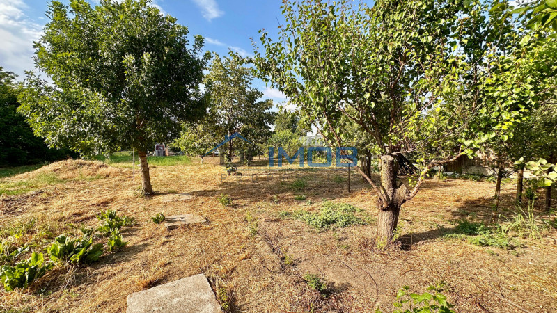 Ciorogarla casa 4 dormitoare, teren 1200 mp