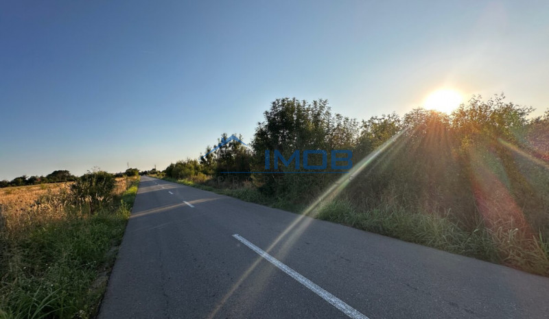 Teren 6700 mp Olteni, jud. Dâmbovița – la doar 900 m de Autostrada A1 (km 63)