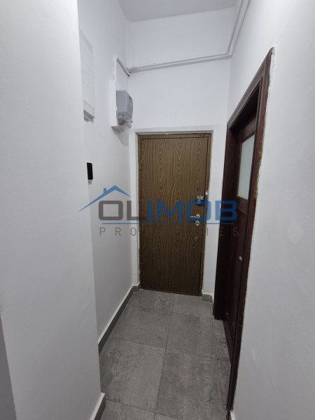 Primaverii inchiriere apartament 4 camere in vila