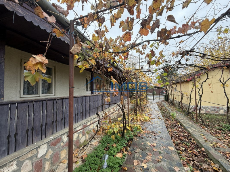 Casa cu livada Izvorani la 300m de Lacul Snagov asfalt si utilitati