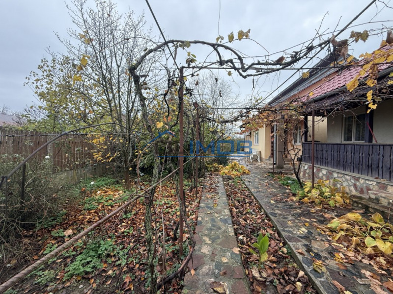 Casa cu livada Izvorani la 300m de Lacul Snagov asfalt si utilitati