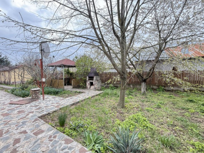 Casa cu livada Izvorani la 300m de Lacul Snagov asfalt si utilitati
