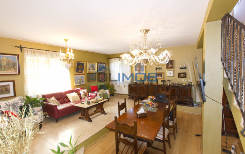 Vila Damaroaia – Spațiu, confort și locație perfectă