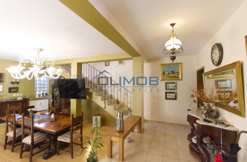 Vila Damaroaia – Spațiu, confort și locație perfectă