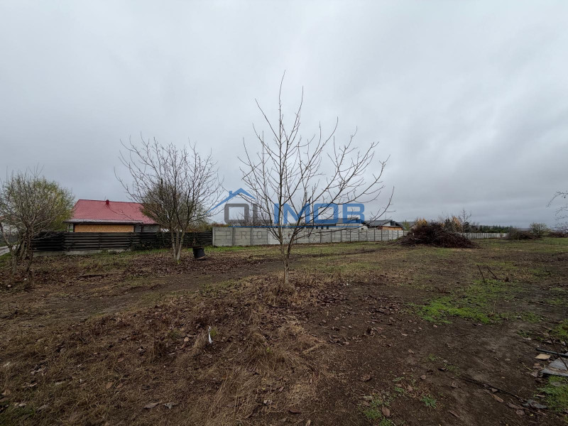 Corbeanca-Tamasi Oportunitate excelenta pentru dezvoltare rezidentiala