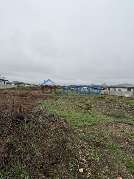 Tamasi, Corbeanca – teren 9838 mp