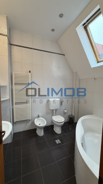 Vilă  de închiriat – Iancu Nicolae, Băneasa 