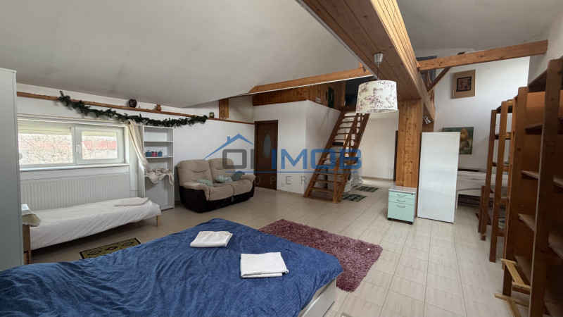 Vilă de închiriat în Tărtășești – spațiu generos pentru firmă, birouri , cazare