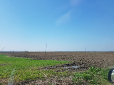 vanzare teren zona Marsa lang Videle 40 ha