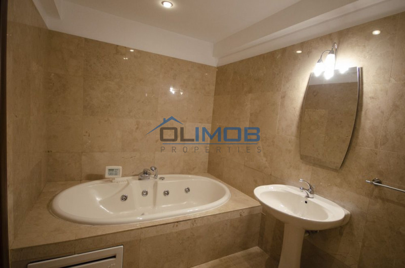 Parcul Herastrau inchiriere penthouse 6 camere